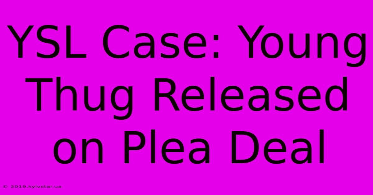 YSL Case: Young Thug Released On Plea Deal