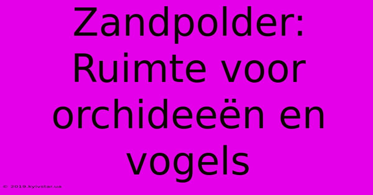 Zandpolder: Ruimte Voor Orchideeën En Vogels