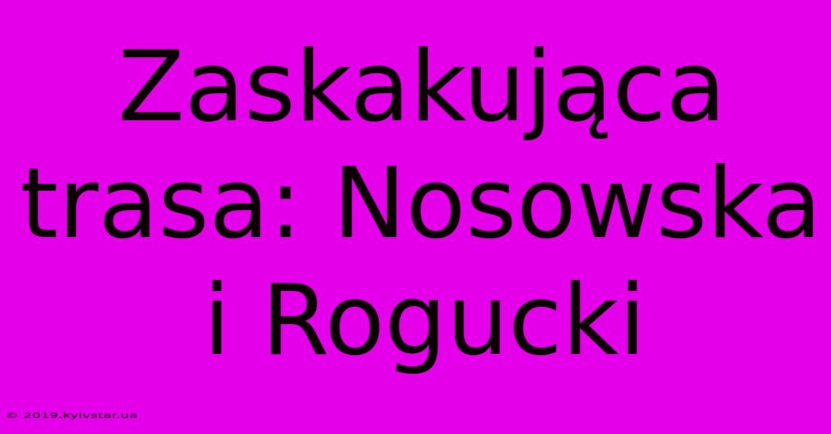 Zaskakująca Trasa: Nosowska I Rogucki