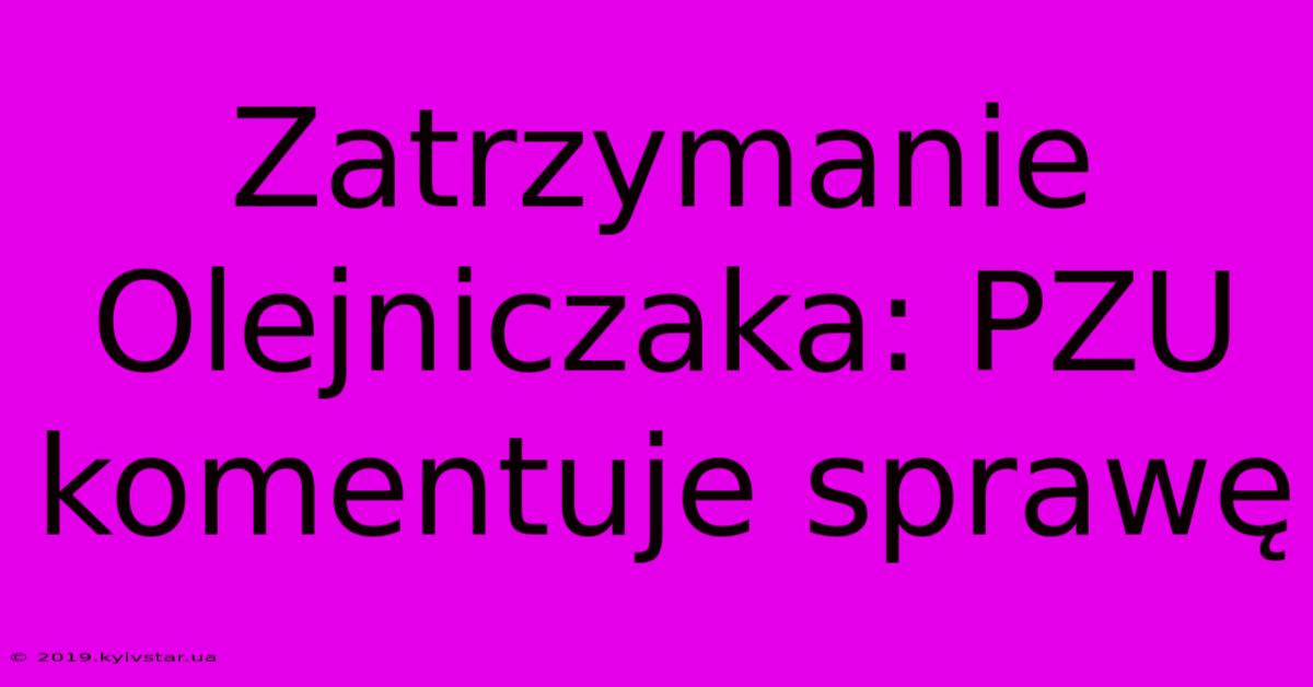 Zatrzymanie Olejniczaka: PZU Komentuje Sprawę