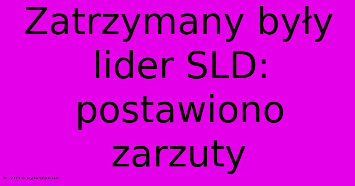 Zatrzymany Były Lider SLD: Postawiono Zarzuty