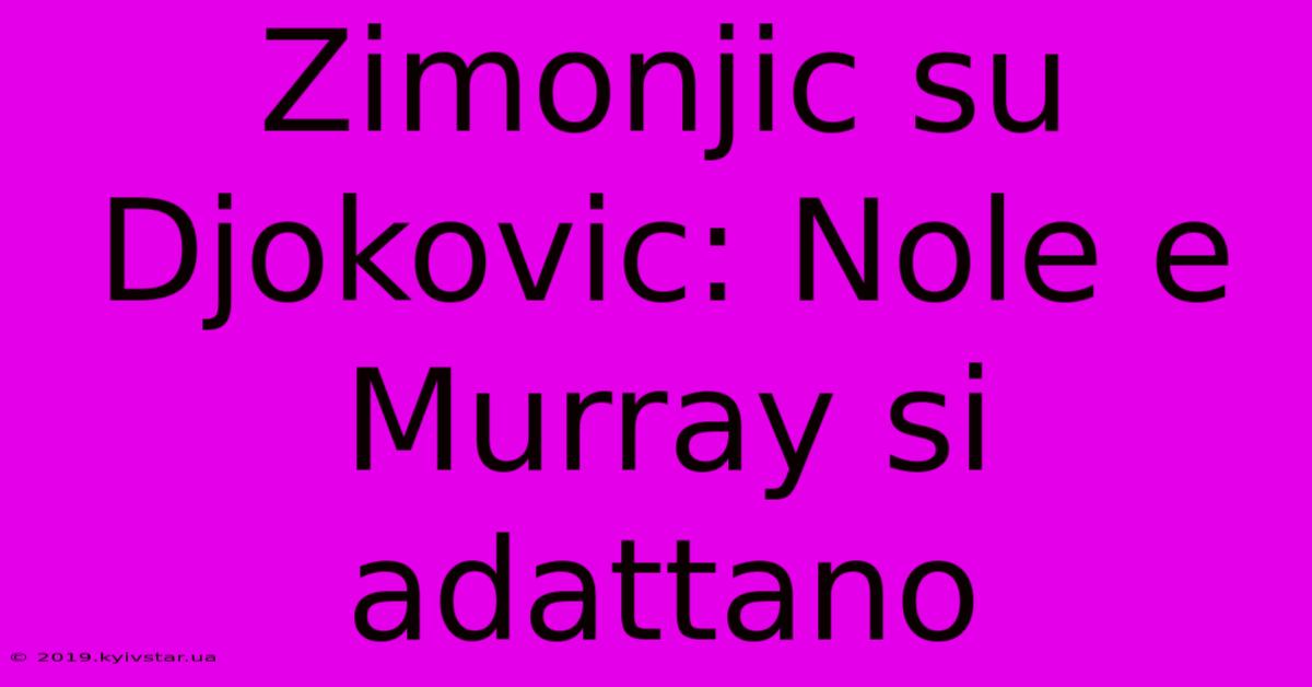 Zimonjic Su Djokovic: Nole E Murray Si Adattano