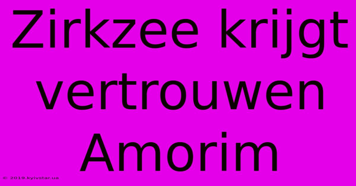 Zirkzee Krijgt Vertrouwen Amorim