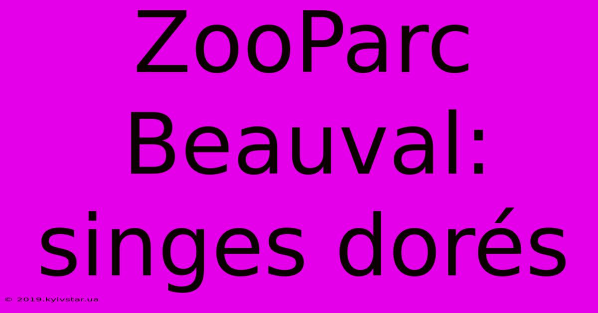 ZooParc Beauval: Singes Dorés