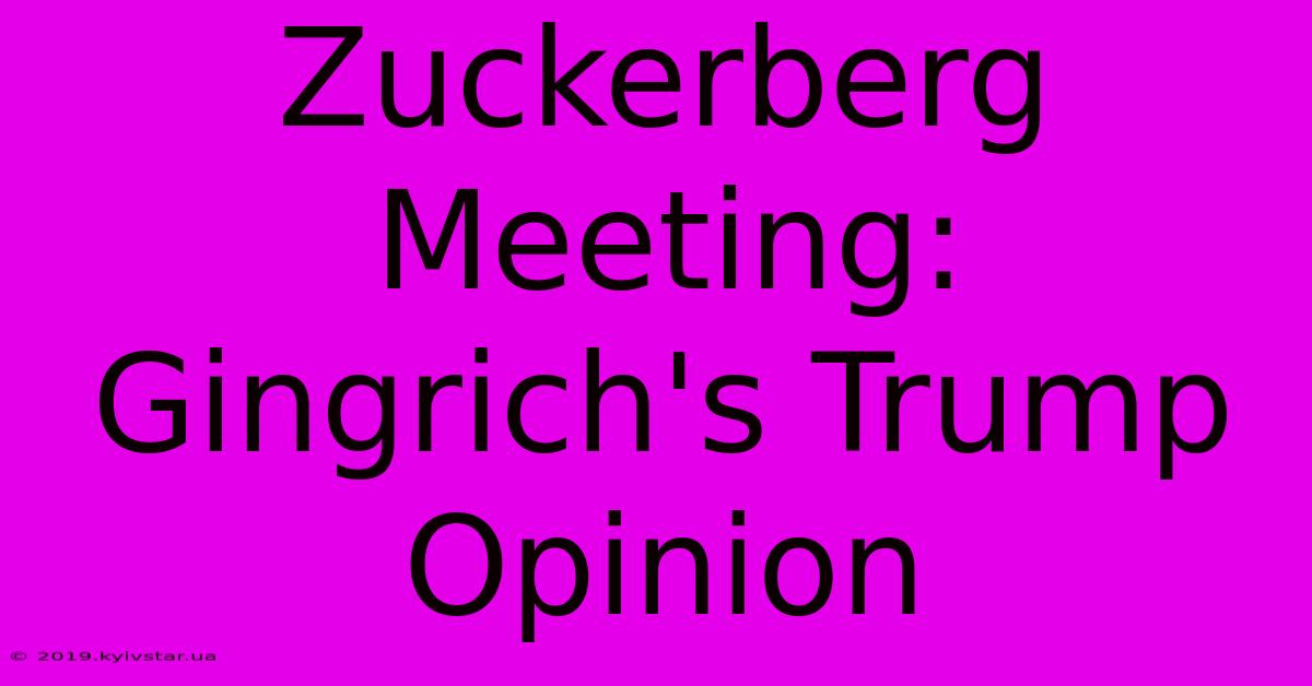 Zuckerberg Meeting: Gingrich's Trump Opinion