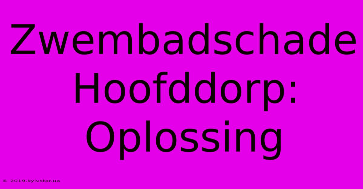 Zwembadschade Hoofddorp: Oplossing